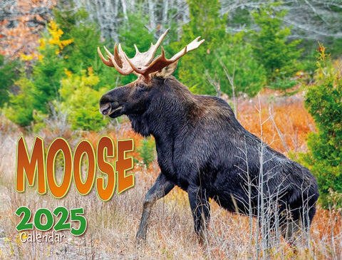 2025 Moose Scene Calendar