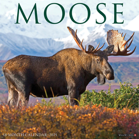 2025 Moose Willow Calendar
